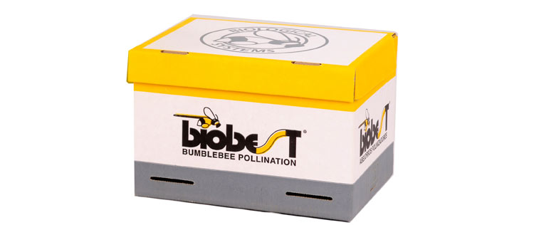1026b Corrugated Packaging 32