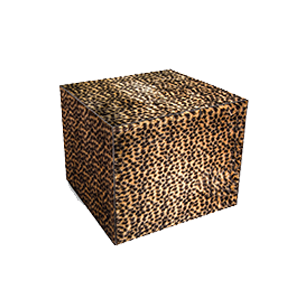 Corrugated Digital Printing