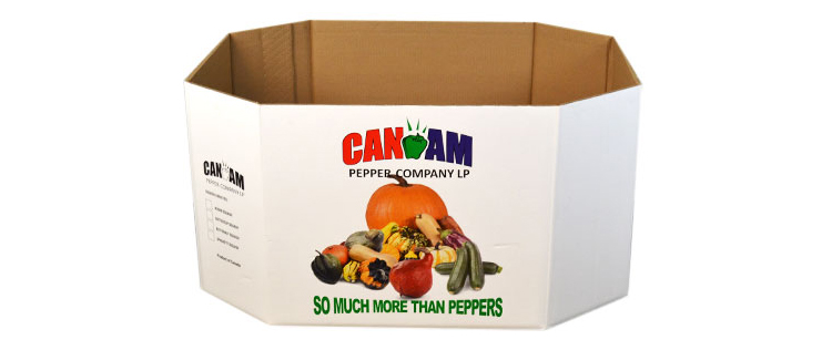 image-1-1 Corrugated Packaging 24