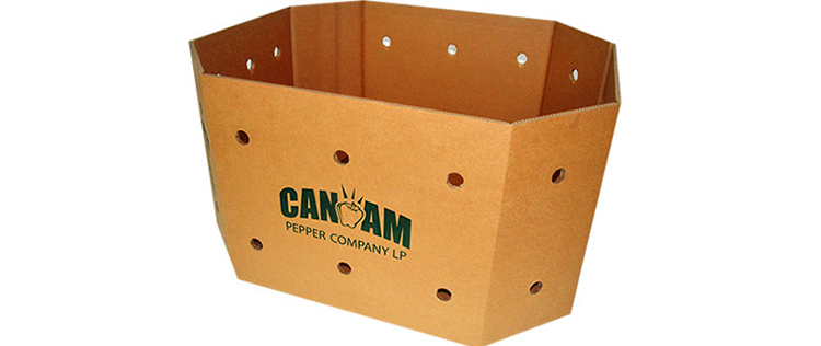 image-8-1 Corrugated Packaging 21