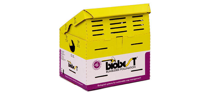 Custom Box Solutions 2