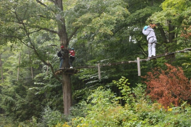 Tree Top Adventure (TTA) - 2
