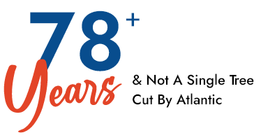 Group 29